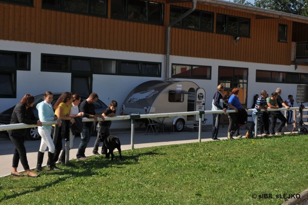 Finale Pokala Slovenije 2012 