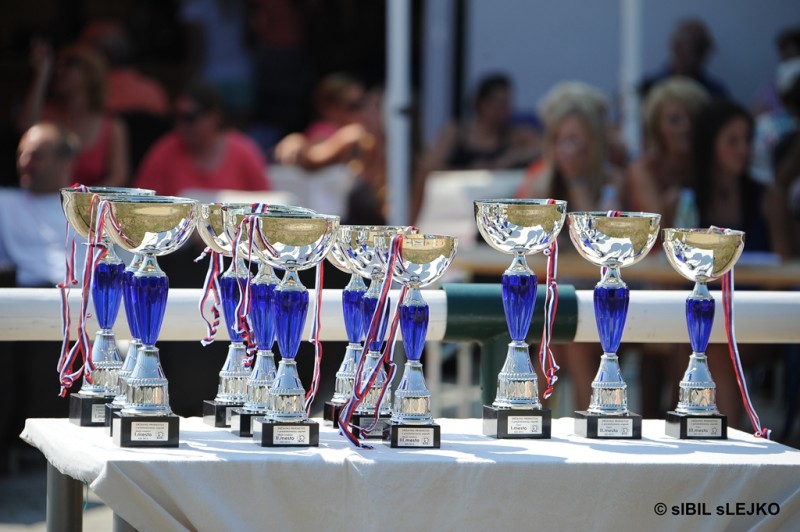 Državno prvenstvo 2013 