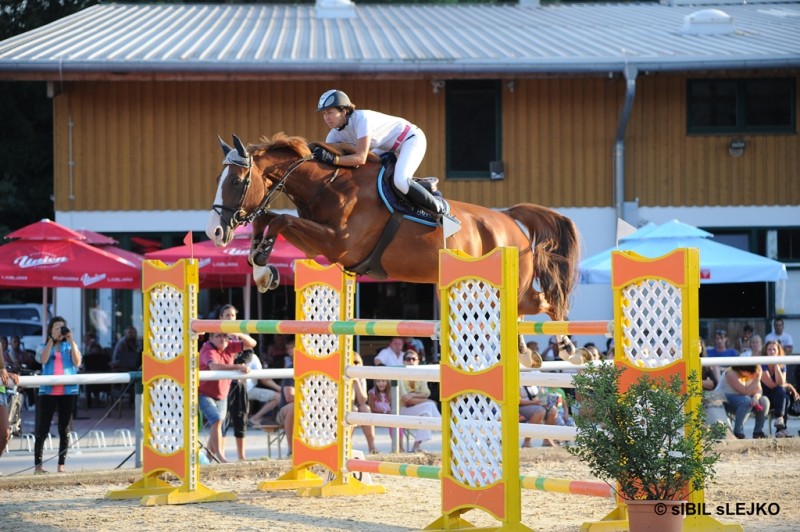 Državno prvenstvo 2013 