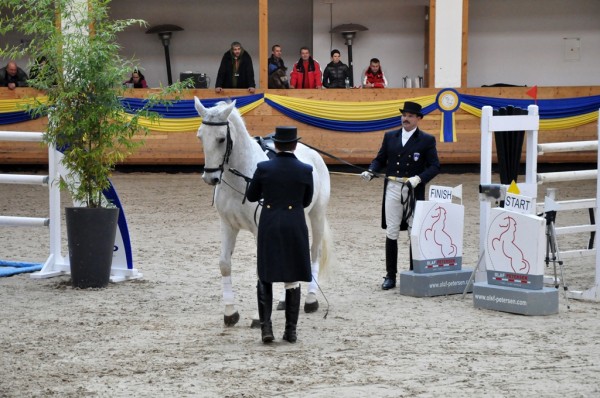Šov program 