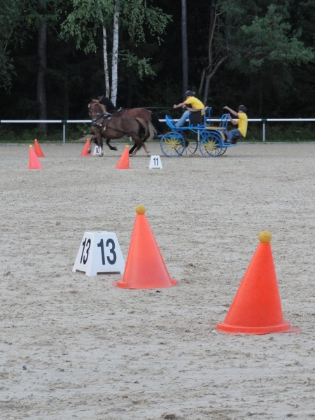 Utrinki tekmovanj 2010 