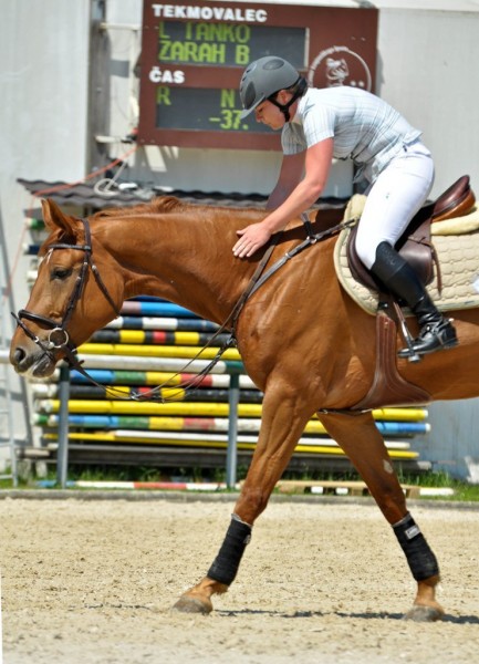 Utrinki tekmovanj 2011 