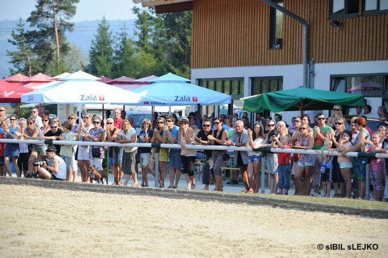 Državno prvenstvo 2013 
