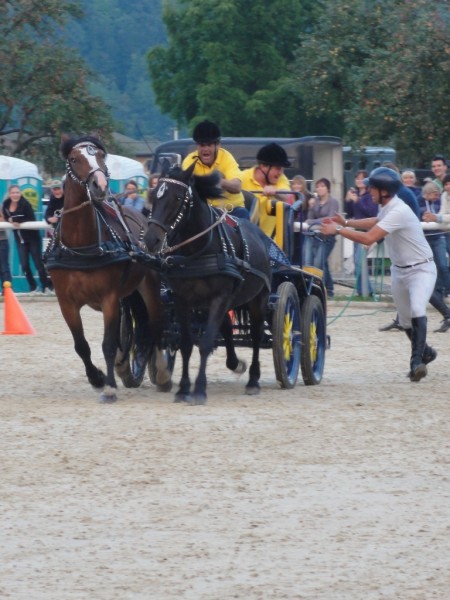 Utrinki tekmovanj 2010 