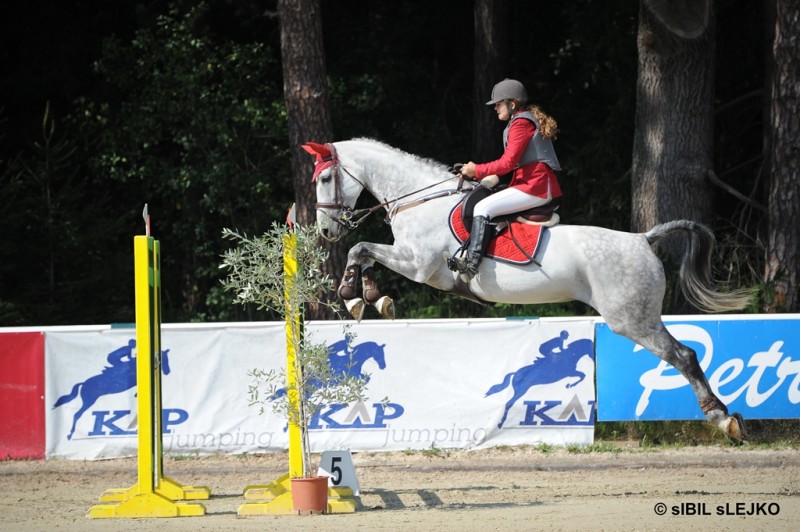 Državno prvenstvo 2013 