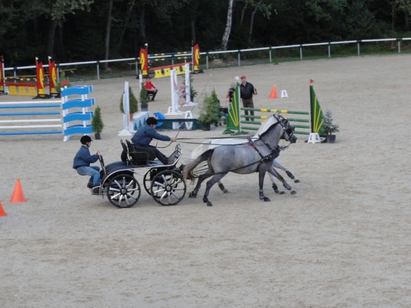 Utrinki tekmovanj 2010 