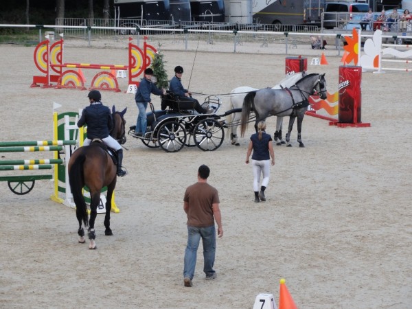 Utrinki tekmovanj 2010 