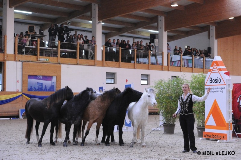 Šov program  