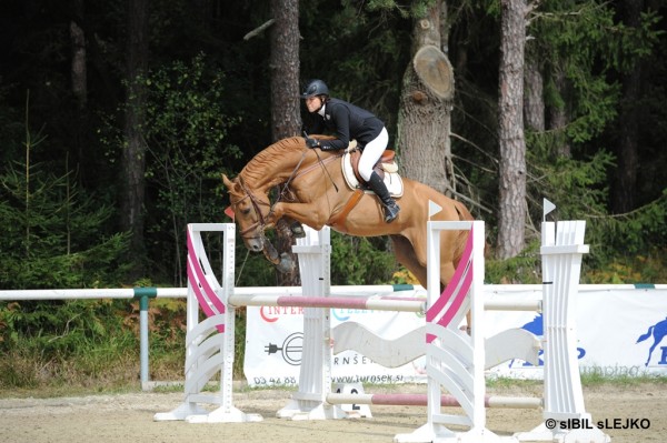 Finale Pokala Slovenije 2012 