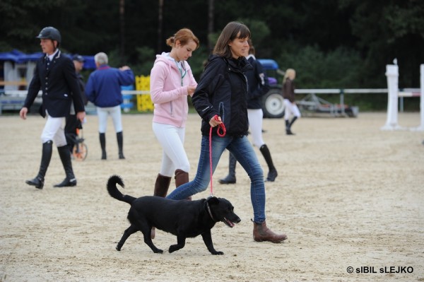 Finale Pokala Slovenije 2012 