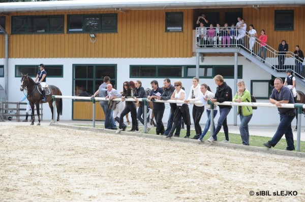 Finale Pokala Slovenije 2012 