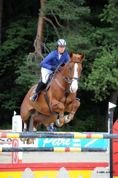 Finale Pokala Slovenije 2012 