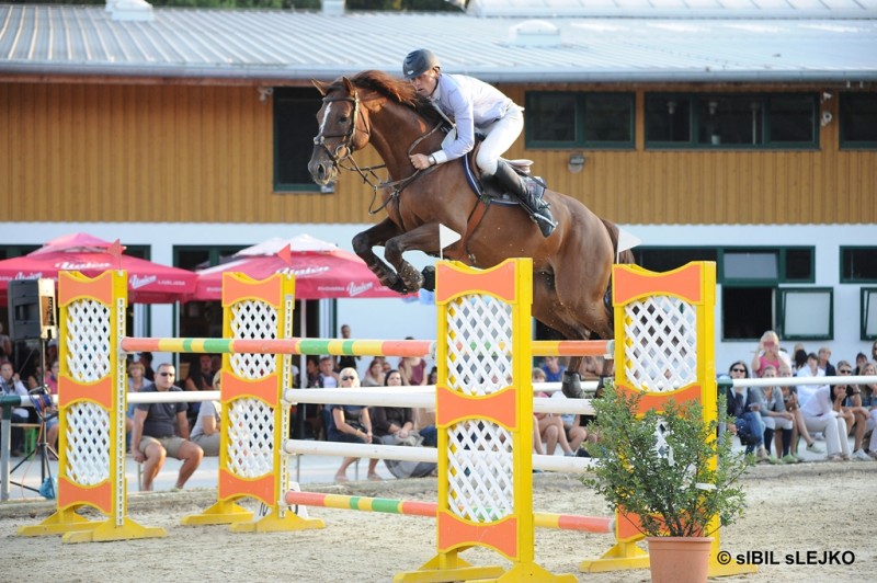 Državno prvenstvo 2013 